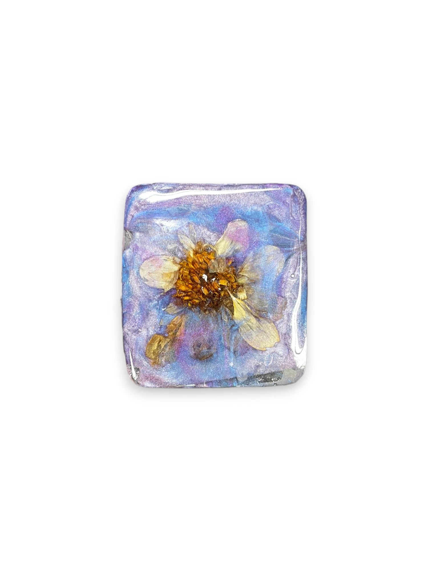 Pressed Flower Resin Magnet, Botanical Magnet, Floral Fridge Magnet