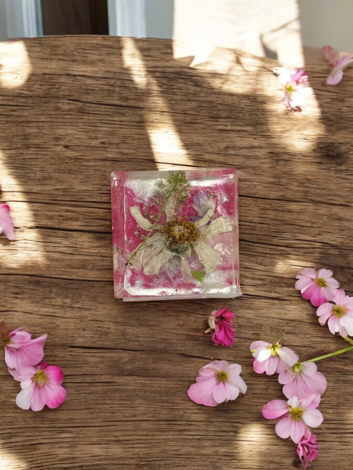 Pink Pressed Flower Resin Magnet, Cosmos, Bachelor Buttons, Speedwell, Floral Magnet