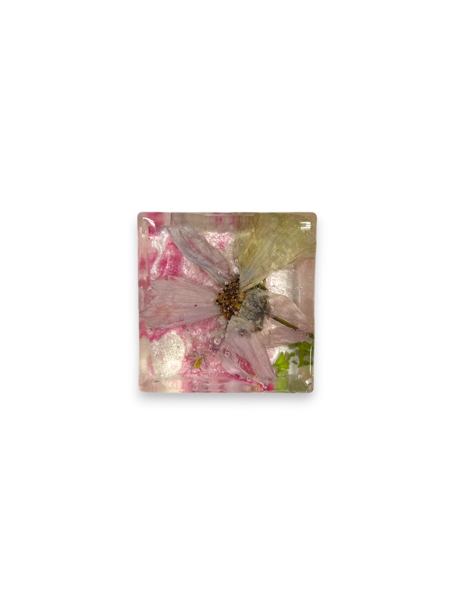 Pink Pressed Flower Resin Magnet, Cosmos, Bachelor Buttons, Speedwell, Floral Magnet