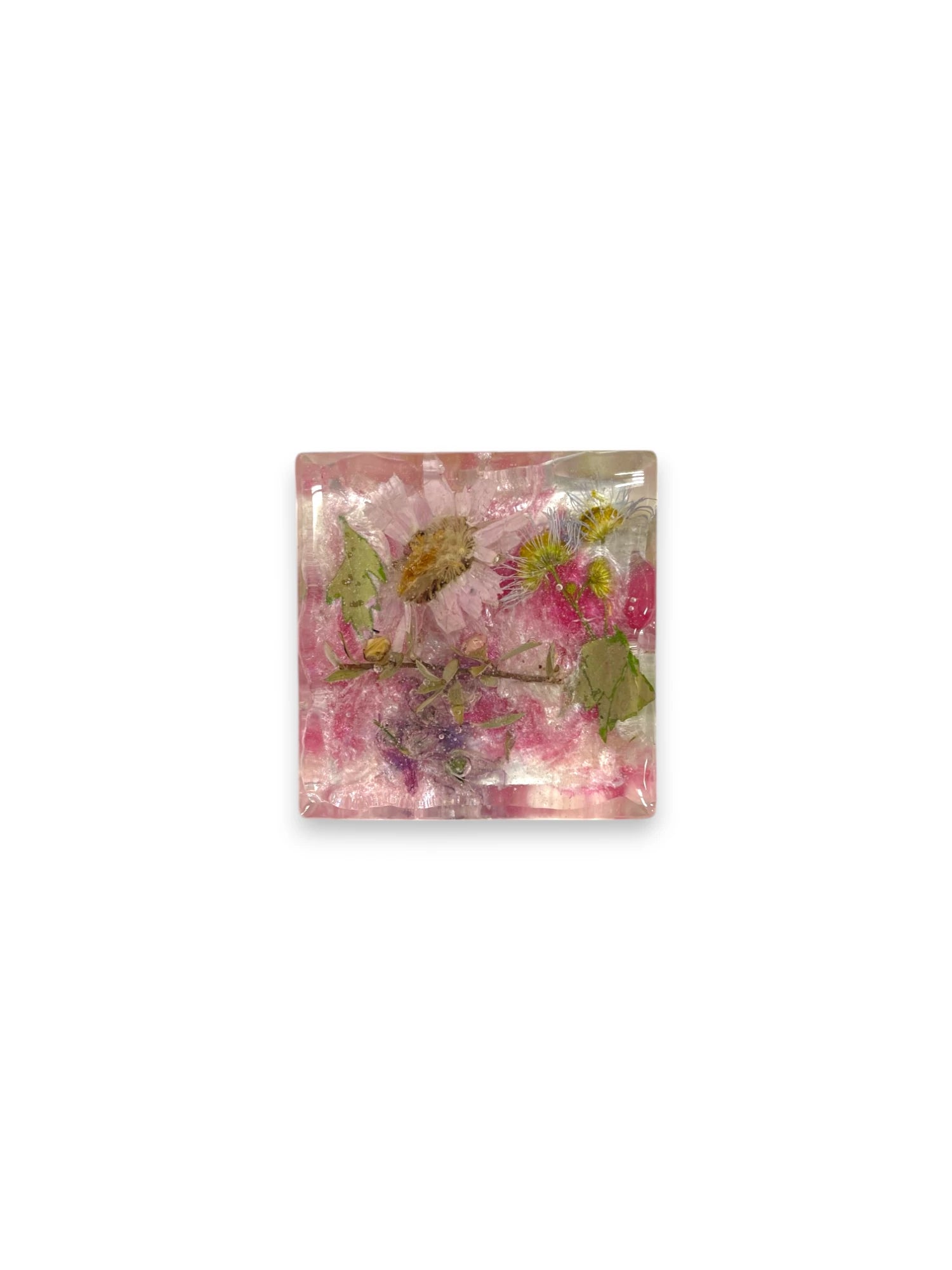 Pink Pressed Flower Resin Magnet, Cosmos, Bachelor Buttons, Speedwell, Floral Magnet