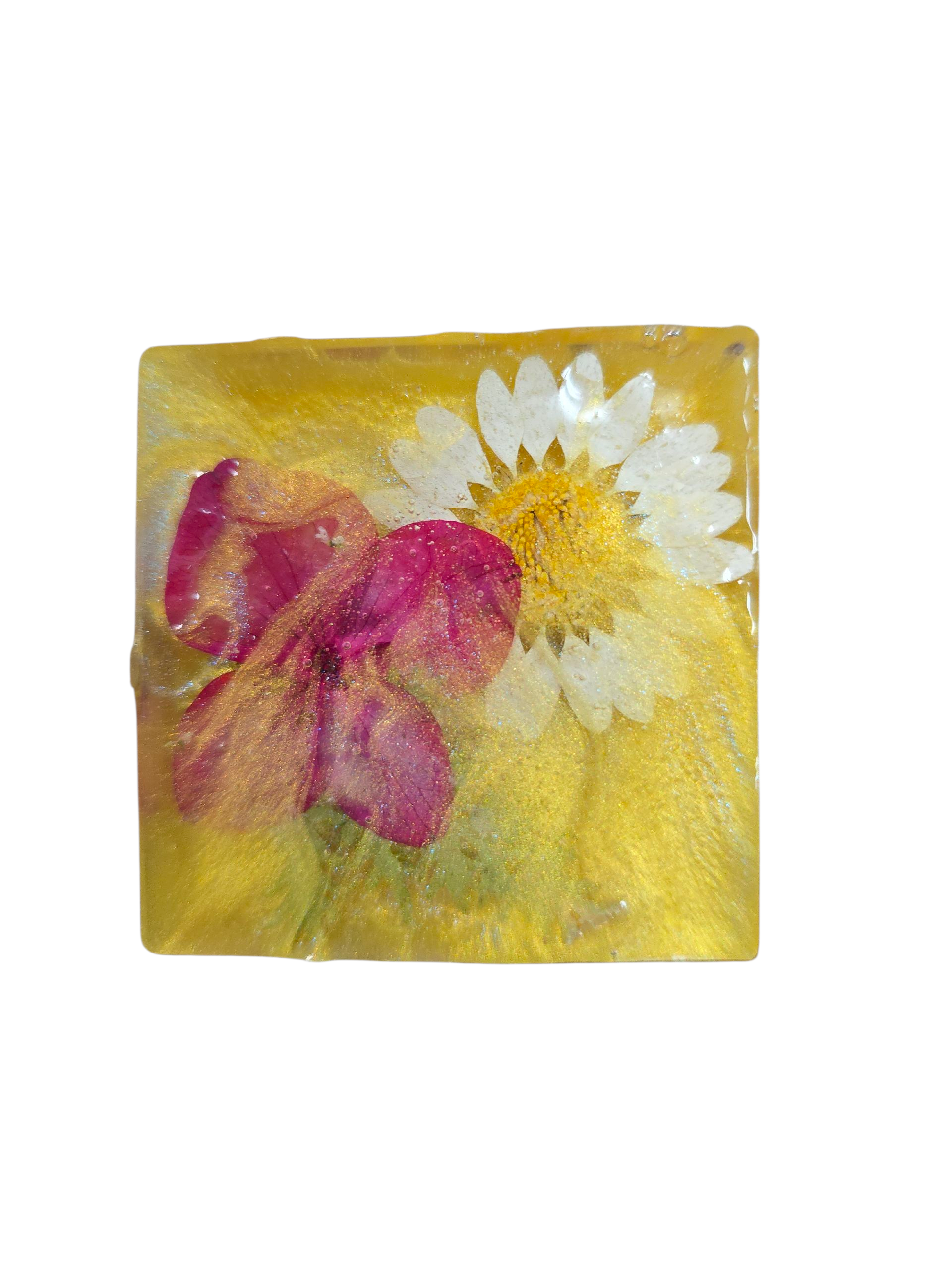Pressed Flower Resin Magnet, Botanical Magnet, Floral Fridge Magnet