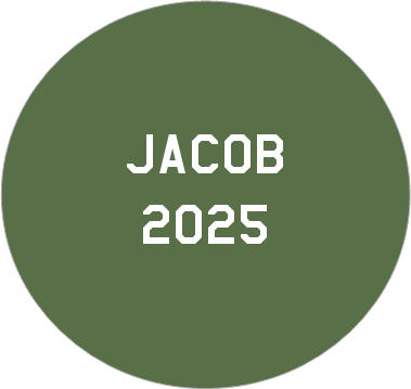 Limited Edition Military Ornament – 250th Anniversary Collection (Army, Navy, Marine) Made in USA -Officially Licensed