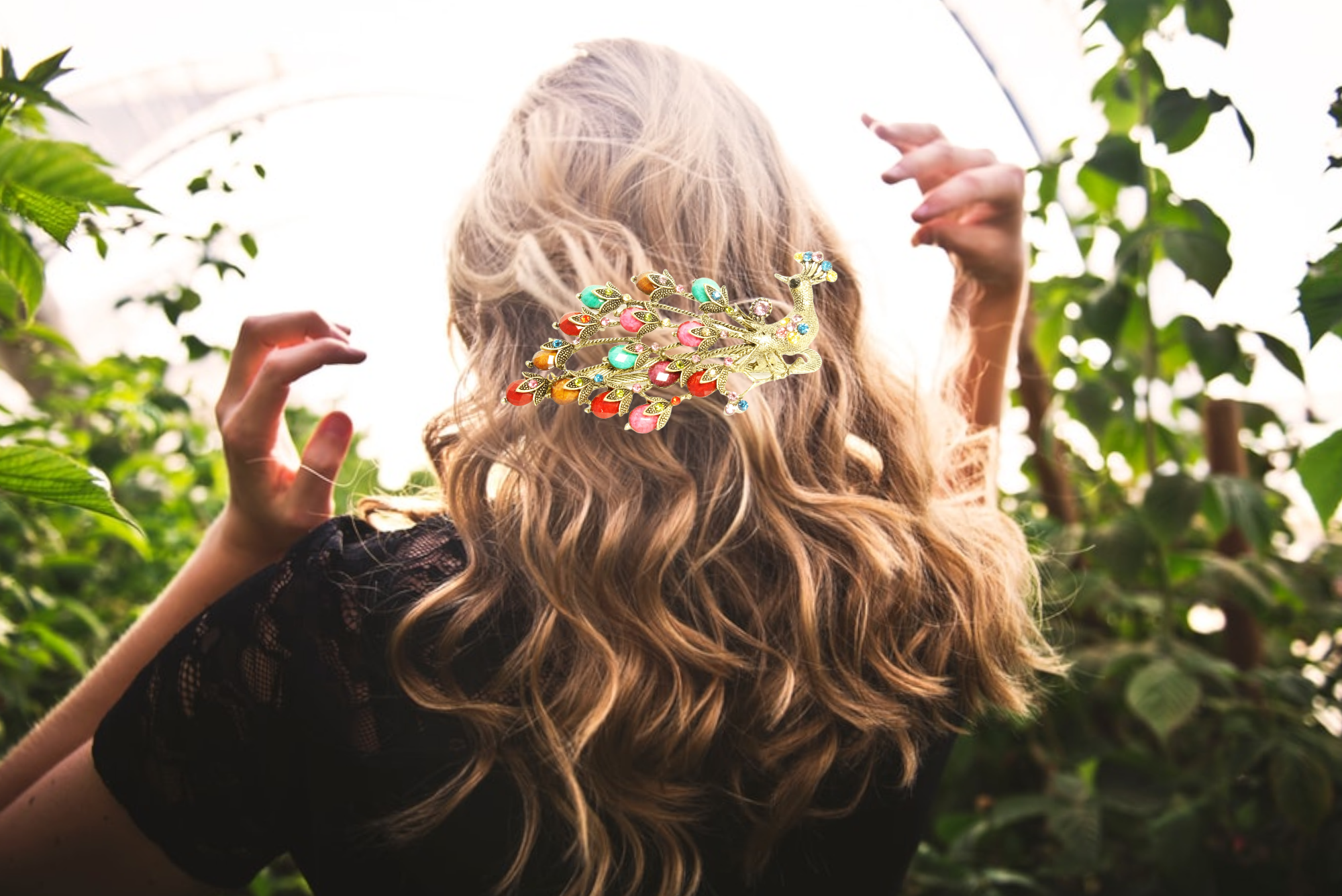 Peacock hair clip with alligator  claw