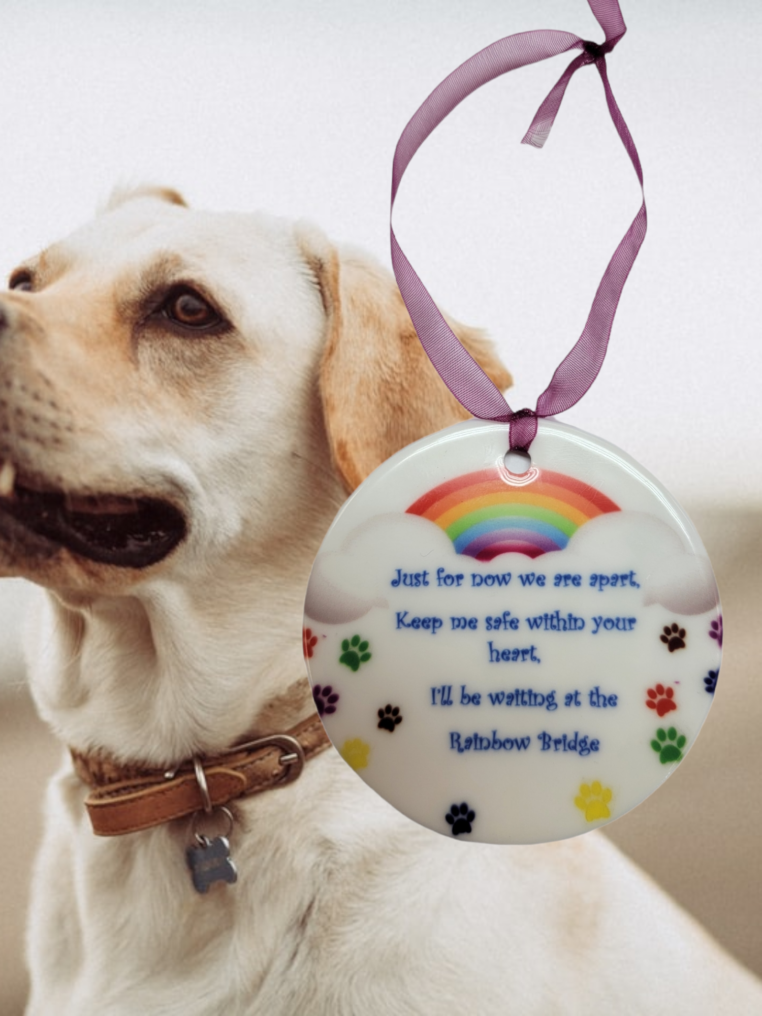 Rainbow Bridge Pet Memorial Ceramic Ornament
