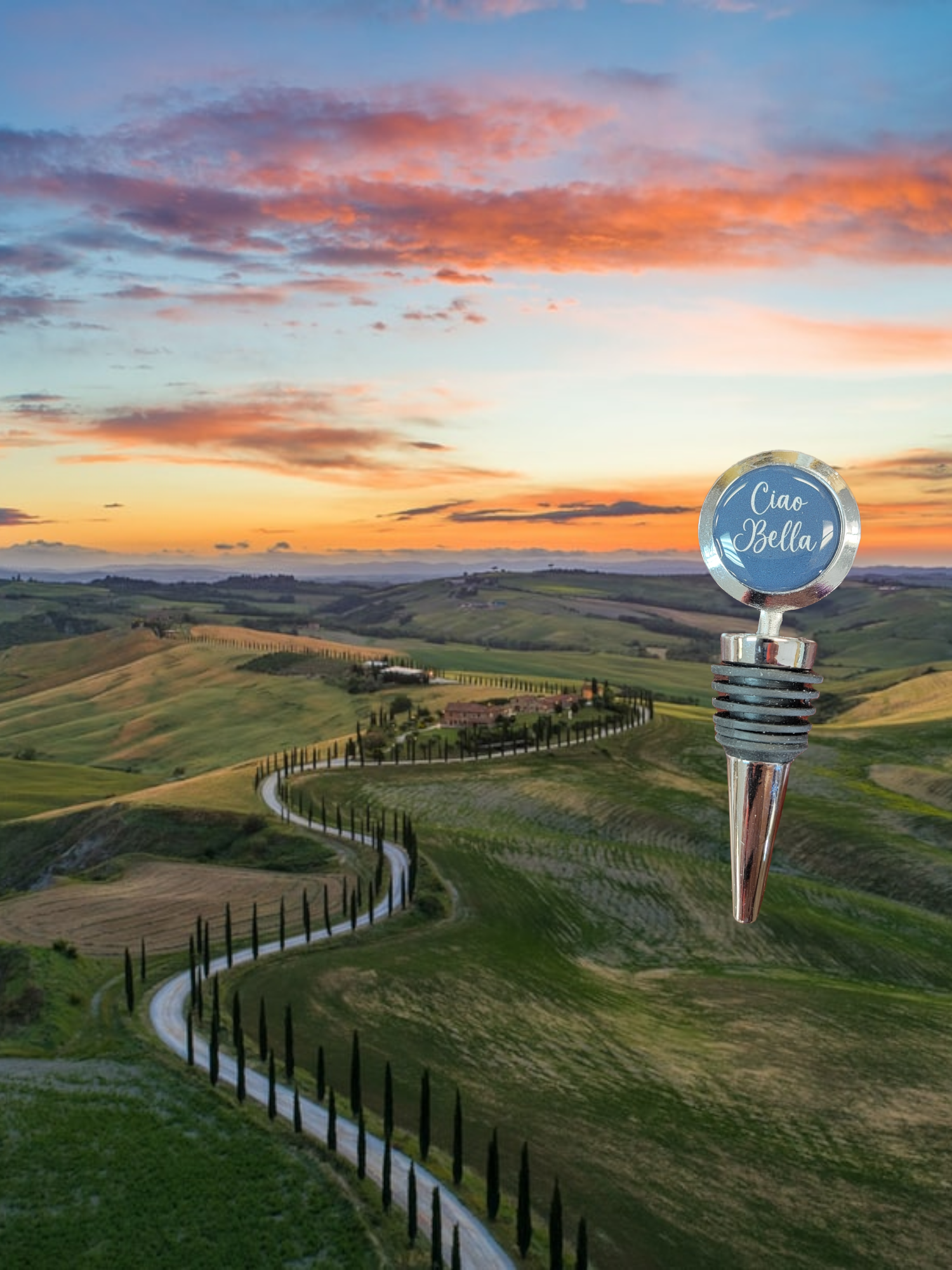 Ciao Bella Wine Stopper: Salute in Style (Script Font, Red or Black)