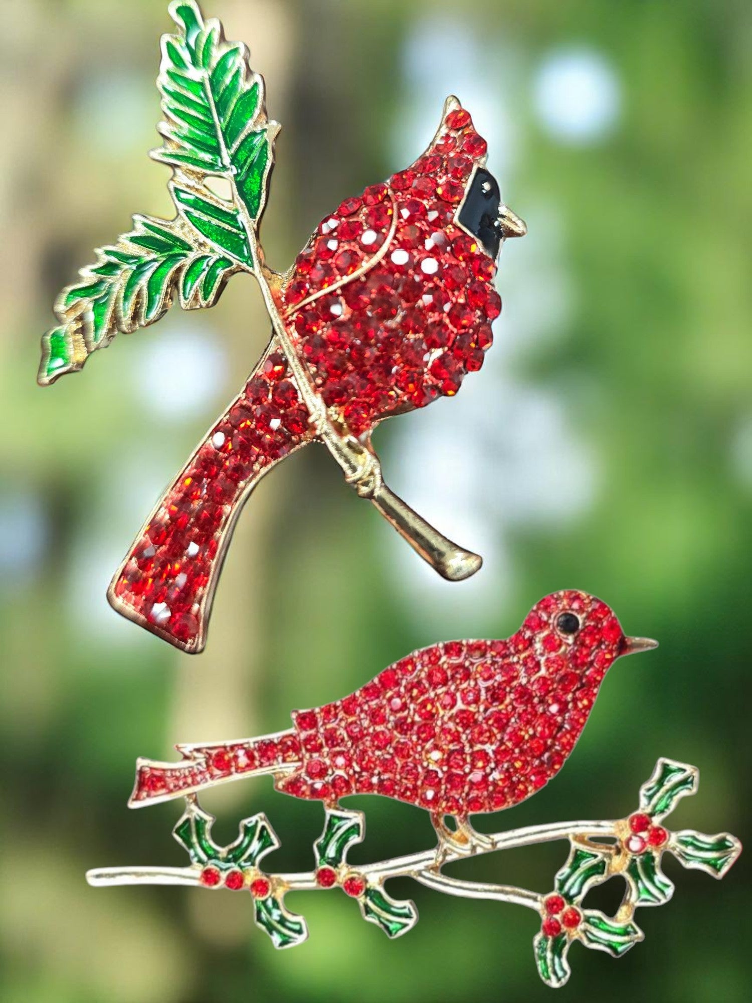 Shimmering Cardinal Rhinestone Brooches - Male & Female