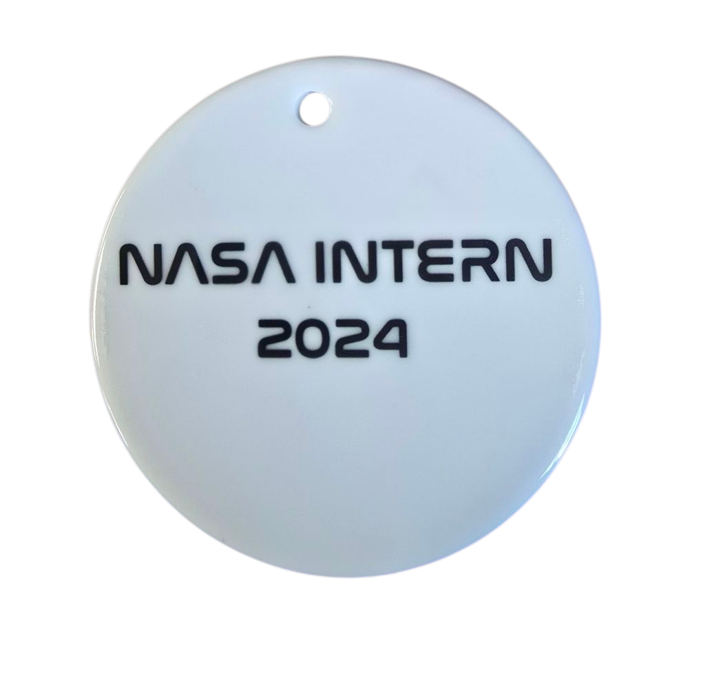 NASA Meatball Logo Space Lover Ornament