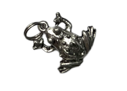 Charming Pewter Frog Necklace and Earring Set
