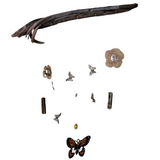 Driftwood Wall Art with Flowers Butterflies and Tiger Eye