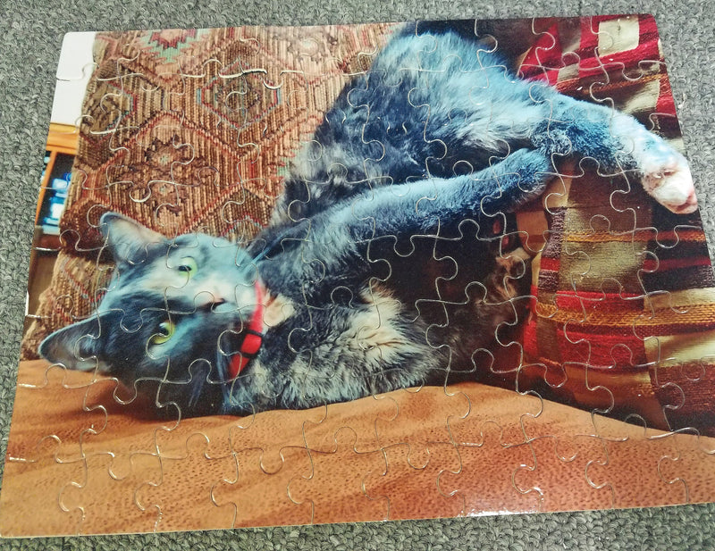 Personalized Pet Customized Photo Puzzle - 120 and 253 piece puzzles