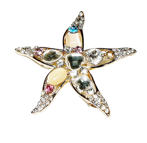 Stunning Mother-of-Pearl Starfish Brooch (Gold Plated Setting)
